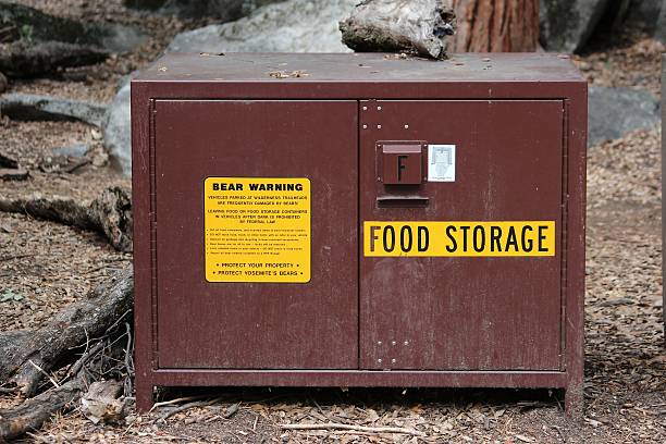 Store Food Safely While Camping - Camp Like A Boss